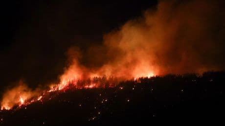 Incendies, inondations, tsunami : lors des catastrophes, la surenchère inquiétante des vidéos générées par l’IA