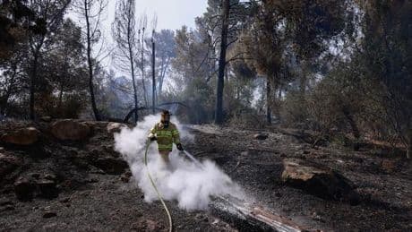 Israel: Waldbrände bei Jerusalem laut Feuerwehr unter Kontrolle