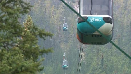 Confirmed case of measles in Banff prompts AHS to issue public alert