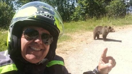 Er wollte sie füttern! - Tourist nach Selfies mit Bären zerfleischt