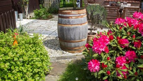 Regentonne verschönern: So wird der Wasserspeicher im Garten zum Hingucker