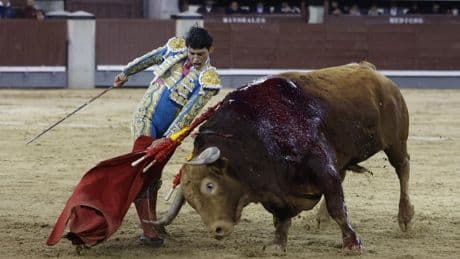 Pedraza y Fonseca, contra las leyes de la física y la lógica: un bravo gigante de 667 kilos premiado con una ridícula vuelta en Las Ventas