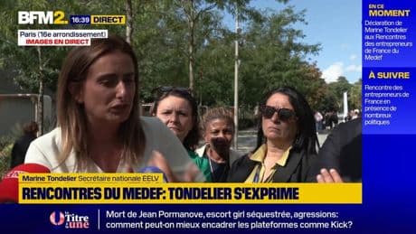 Marine Tondelier estime que "la Ve République est à bout de souffle"