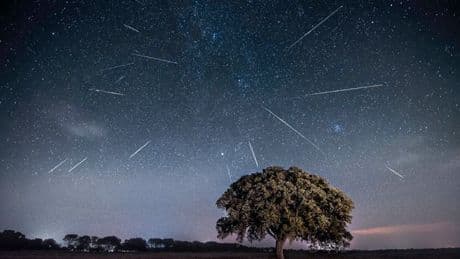 Perseid meteor shower: Where and when to see 100 fireballs shoot across sky