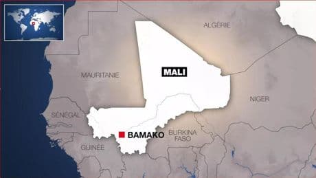 Mali: la justice va se prononcer sur les conséquences de la dissolution des partis politiques