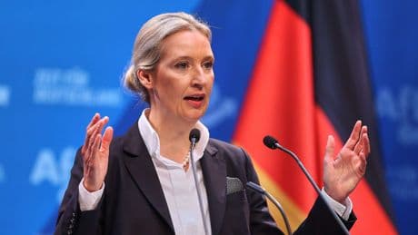 Etre fonctionnaire et membre de l'AfD ? L'Allemagne s'interroge après le renforcement de la surveillance du parti extrême droite