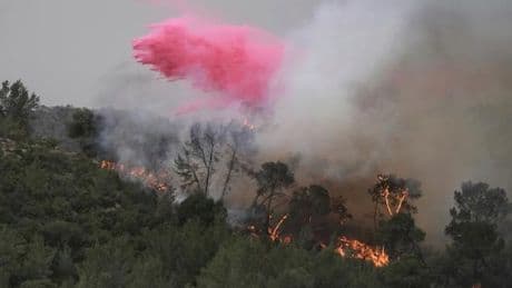 Incendies dévastateurs en Israël : Benyamin Nétanyahou avertit que les feux menacent Jérusalem