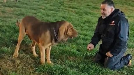 Nägel im Köder - Polizeihund Bruno brutal ermordert