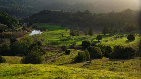 Comment rendre un golf à la nature