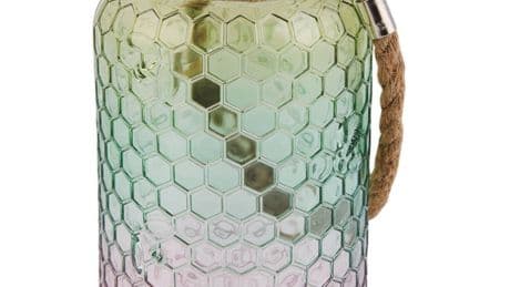 Bargain hunters are flocking to Aldi desperate to nab £5 buy that will brighten up your garden in time for summer
