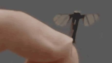 China unveils mosquito-sized stealth operation drone as UK 'prepares for war'