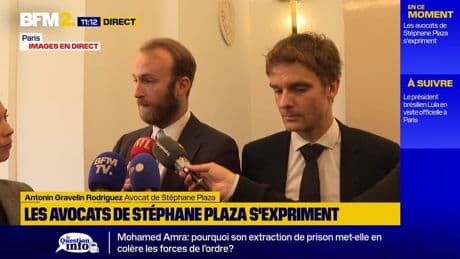 Stéphane Plaza condamné pour violences conjugales sur "un dossier truqué", selon ses avocats