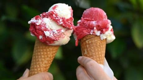 Kinder aus ärmeren Familien sollen nur 50 Cent für Kugel Eis zahlen – Grünen-Vorschlag empört CDU