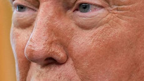 US-Wirtschaftspolitik: Der politische Eisheilige Trump ist weiter unterwegs