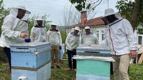 Ordu'daki arıcılık enstitüsünde 30 ülkeden gelen arıcılara eğitim