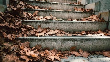 When No One’s Climbing The Ladder—How Do We Grow Talent?