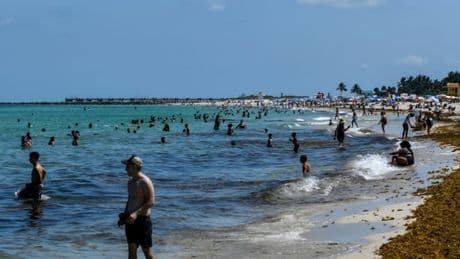 Une enfant de 9 ans mordue à la main par un requin en Floride