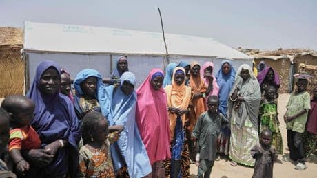Nigeria's military says its airstrikes killed 35 Islamic militants in Borno state