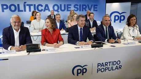 Los dilemas de Feijóo