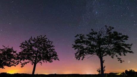 Braunschweig: Wo Sie die Sternschnuppen im August beobachten können