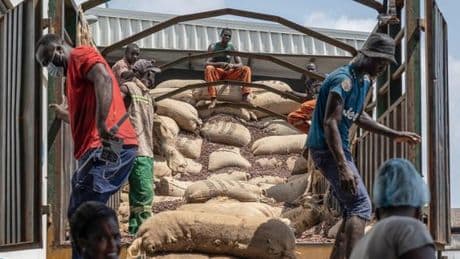 Cacao et café plombent la balance commerciale agroalimentaire de la France