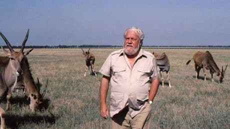 Gerald Durrell,  cómo no te voy a querer
