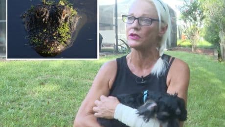 Florida woman fights off five-foot alligator with bare hands after it attacked her dog