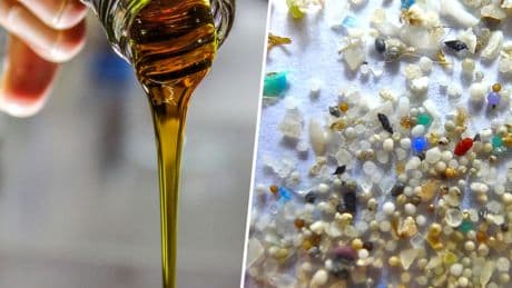 El aceite de oliva virgen extra es uno de los productos más puros del mundo. Y  también está lleno de microplásticos