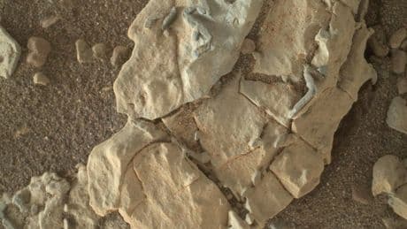 I know NASA is hiding evidence of aliens on Mars – I have photographic proof and here’s why they’re keeping it secret