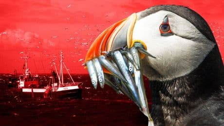 UK in ‘great Brexit win’ over EU access to fishing waters
