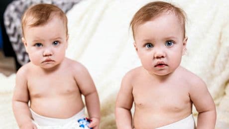 Pourquoi nos ancêtres faisaient (presque) tous des jumeaux ?