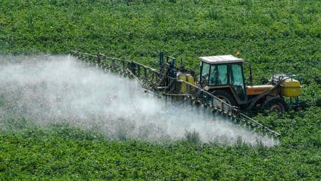 EU vereenvoudigt regels voor landbouwsector, vooral om kleine boer te steunen