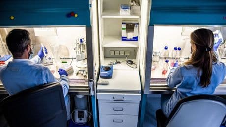 Coup dur pour Valneva dont le vaccin anti-chikungunya est soudainement suspendu aux Etats-Unis