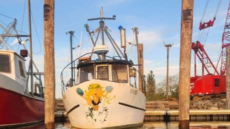 Remains of couple who went missing off Cape Cod found after crews locate their missing fishing boat