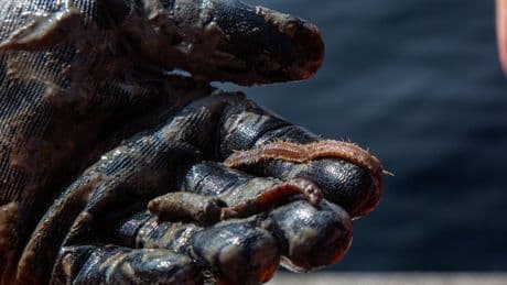 Scientists search for climate change answers in Quebec sea floor