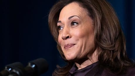 Kamala Harris flames Trump tariffs as ‘greatest man-made economic crisis in modern presidential history’