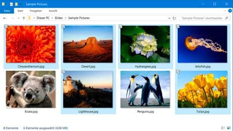 Elementkontrollkästchen: In Windows mehrere Dateien markieren
