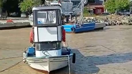 Müsilaj yeniden Marmara'da!