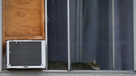 More Canadians using air conditioning to beat the heat, says Statistics Canada