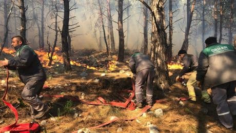 Havaların ısınmasıyla yangın riski arttı: Muğla'da ormanlara giriş 1 Mayıs'tan itibaren yasak
