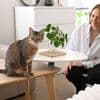 TÉMOIGNAGES. « La séparation est parfois difficile… » : ils sont familles d’accueil pour chats
