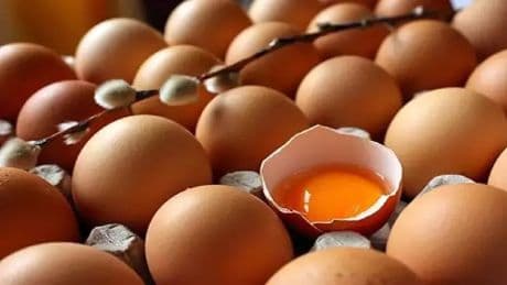 Daha önce bunu bilmiyorduk! Yumurtaların bayat olup olmadığını anlamak bu kadar kolaymış!