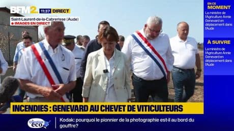 "Ne nous oubliez pas" : Annie Genevard dans l'Aude pour rencontrer agriculteurs et viticulteurs frappés par l'incendie