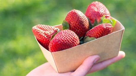 Packaging da oli essenziali e sostanze naturali per allungare la vita delle fragole