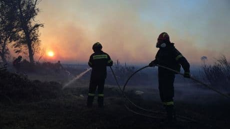 Klimawandel: Menschen in Südeuropa müssen vor Waldbränden fliehen