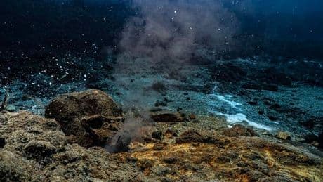 The Prototype: These Bacteria Can Generate Electricity