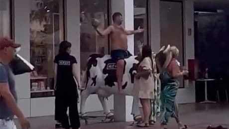 Local outrage as topless Brit tourist caught riding cow in Tenerife