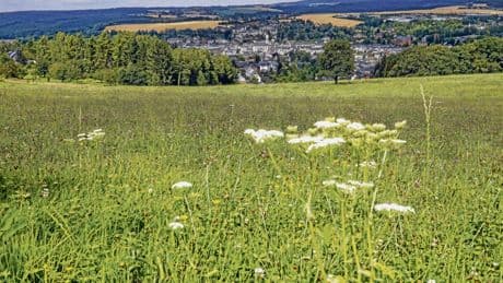Sommer mit Tucholsky | Das Zeitdorf