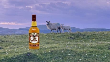 The World’s Best Blended Scotch Whisky—According To The 2025 ASCOT Awards