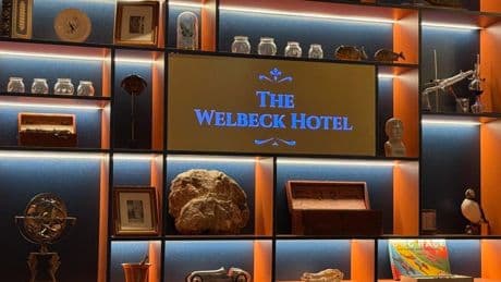 Going Eco Benefits Planet And This Hotel’s Bottom Line